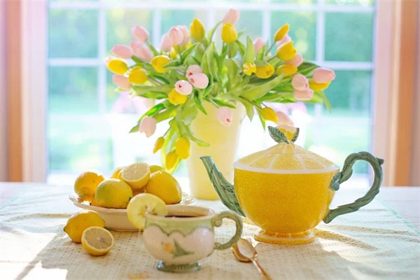 胡蝶蘭の春の手入れ：3月にやるべき5つの必須タスクで花を咲かせよう