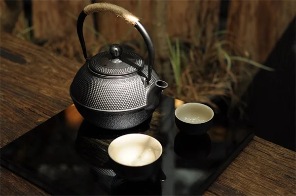 キッチンや庭の生ごみで作った堆肥は、こんなに使える！