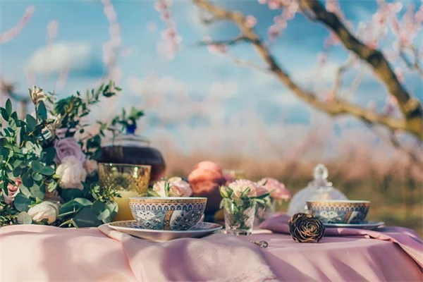 春の芝生のお手入れ完全ガイド｜5つのステップで青々とした芝生に