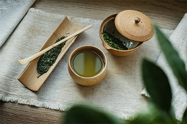コーヒーかすでアジサイは青くなる？実際に試した効果と真実