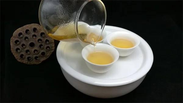 8月の中南部ガーデニング：暑さに負けない5つの必須作業と涼むコツ