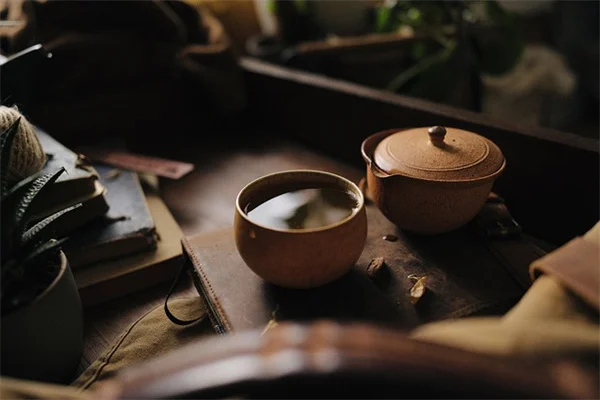 冬の庭が赤く染まる！Yuletide山茶花の育て方と魅力